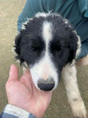 598004471 880302101184929 414791159316666605 n