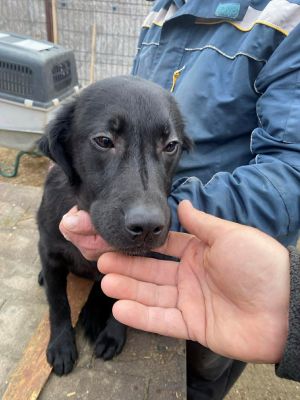 598105200 856942313901236 4098126451237663966 n