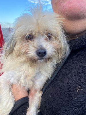 598113956 1390373189152176 625174416190481600 n