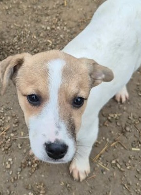 598131397 1401313925020619 7597725687159315072 n