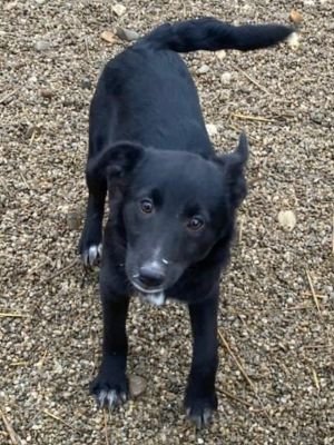 598141999 1153064733576052 8136930667929912607 n