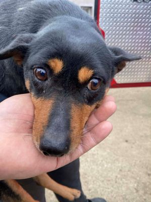 598161129 1168803264971890 3415802452638235433 n