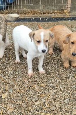 598161129 1762574294615544 1442774612973192270 n