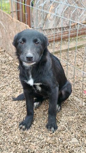 598165539 797876396603814 8002642599476796088 n