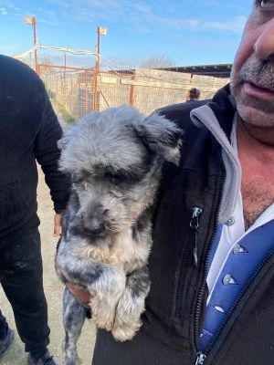 598255460 856621987294456 6018018147464729124 n