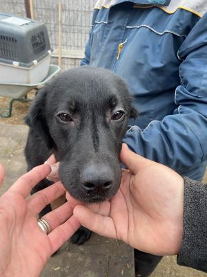 598285825 1381780729988624 745251864688762627 n