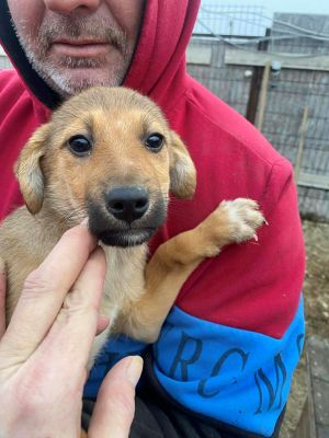 598357168 4234744910095590 3996127867142522263 n