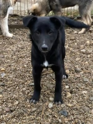 598382226 1827343384653863 5678338955693818047 n