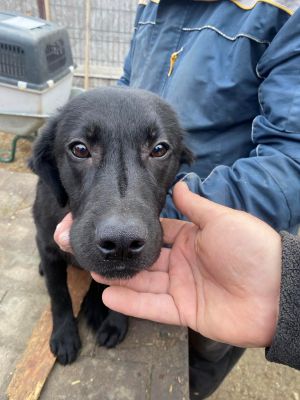 598424884 744698968061834 6304419679128594513 n