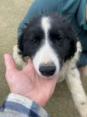 598555444 841400488749303 401013574955076209 n