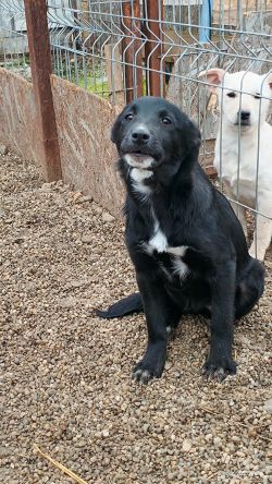 598630704 862027703087674 2334914644020213190 n