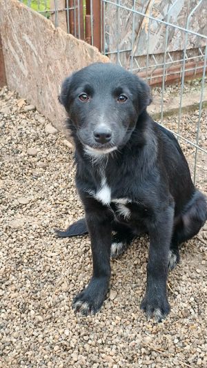 598661880 882557650896519 6105926938216188893 n