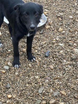 598719588 1380714710366175 1040785467885046611 n