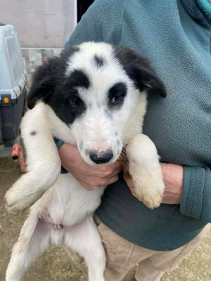 598811943 710624328406382 8479504096901042892 n