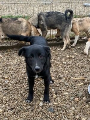 598817812 1928314418104004 7990636442703226343 n