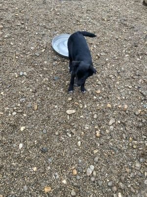 598825512 2036052613844056 6790594293908873152 n