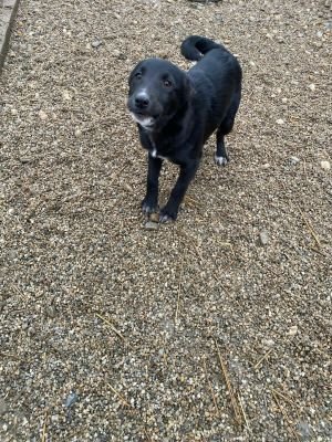 598976800 1300264588535421 903706062081975244 n