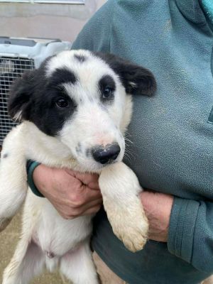 599239169 1879665969424675 5789154493723508465 n