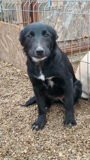 599315145 1947010475911524 4424143241802819715 n