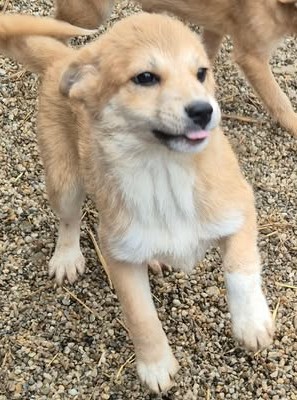 600449285 2766139350398071 5157806181912943625 n