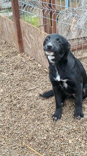 600501270 1532577124692929 926713638908865358 n