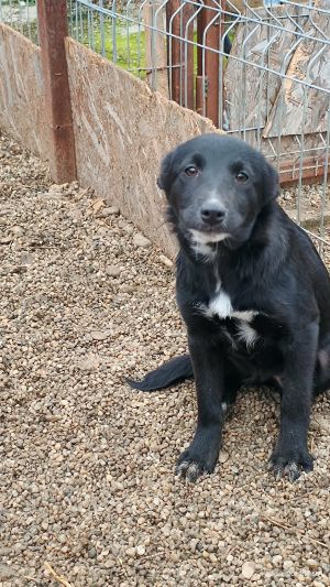 600572344 1216458440549785 3365462873218582603 n