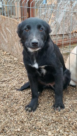 600928647 870649845472232 3605761161605287262 n