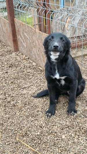 601023438 1369669268222069 2426155636112823880 n