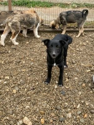 601117742 876579161427391 8080096697812002540 n