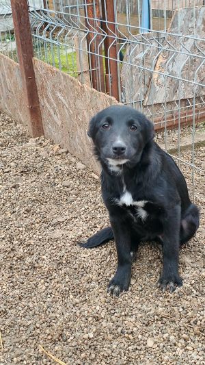 601173601 3046865718838213 4280170508002171481 n