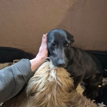 606975116 1217049687157139 8924953245301039663 n