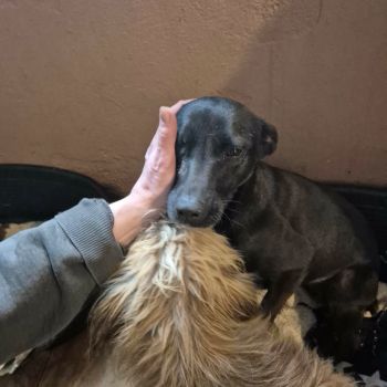 607974460 1744055859596014 5008629922199806190 n