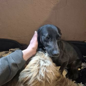 608358039 1394687448867704 798350464909061239 n