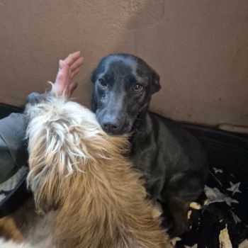 610700028 1793025411406860 2879044459584198029 n