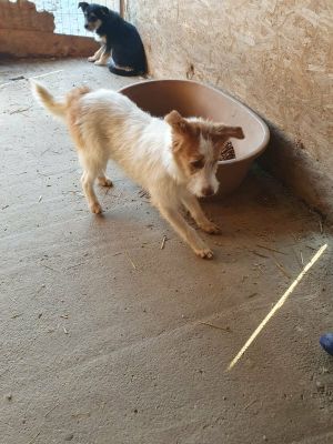 615869459 4587384794817856 8777976983598501946 n