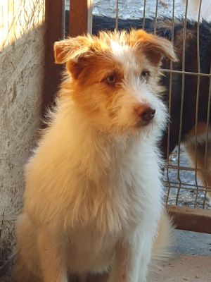 617969374 2054190152045746 5331410322278501847 n