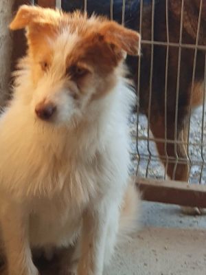 618049895 1190653872773879 5333413879464005865 n