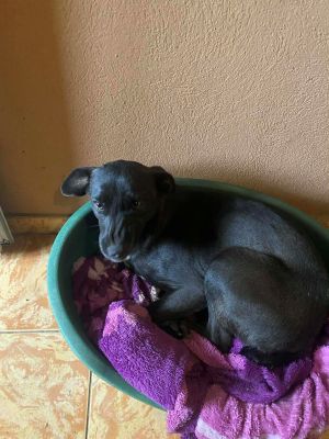 618799601 880218224845023 3176703226446656226 n