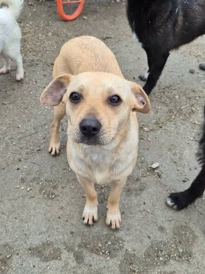 634325310 1279497900749443 1576298405016757846 n