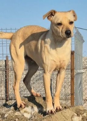 638817953 1414776589953119 1073569578185926501 n