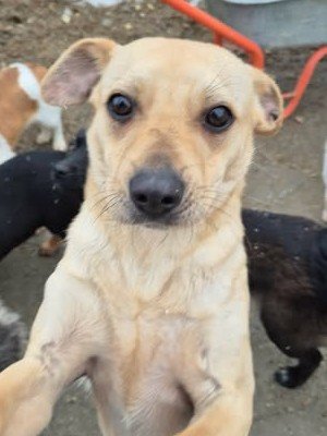 642496201 4118750241768646 6194950213942598939 n