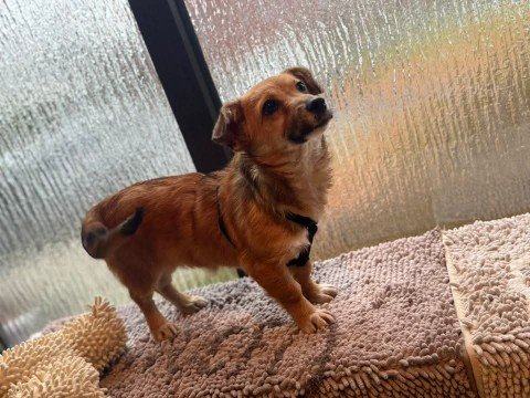 FB IMG 1763289501838 copy 480x360