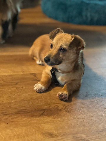 FB IMG 1763289506431 copy 360x480