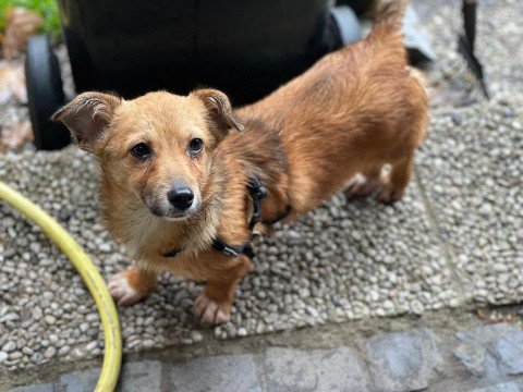 FB IMG 1763289518612 copy 480x360