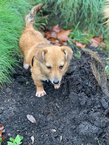 FB IMG 1763289523935 copy 360x480