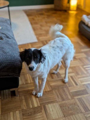 FB IMG 1763291466423 copy 307x409