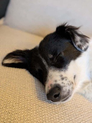 FB IMG 1763291469864 copy 307x409