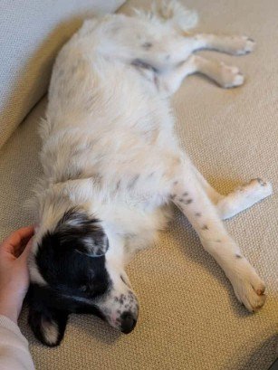 FB IMG 1763291473140 copy 307x409