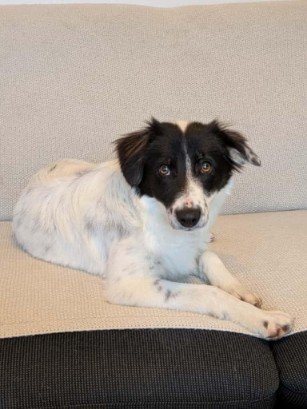 FB IMG 1763291475998 copy 307x409