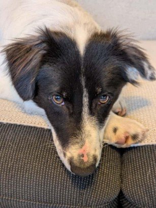 FB IMG 1763291479624 copy 307x409